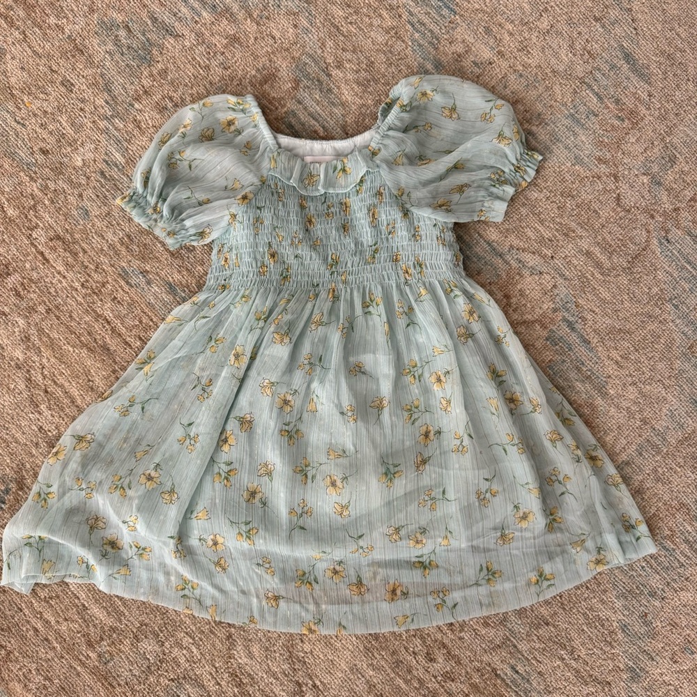 Zara dress